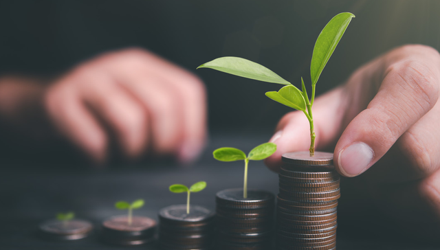 鹏扬中证500质量成长ETF,500质量,鹏扬中证500质量成长交易型开放式指数证券投资基金,560