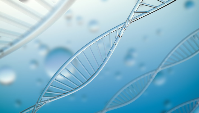 汇添富恒生生物科技ETF,恒生生物,汇添富恒生生物科技交易型开放式指数证券投资基金(QDII),51