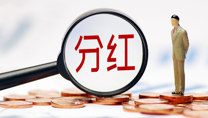 汇添富中证港股通高股息投资ETF,港股分红,汇添富中证港股通高股息投资交易型开放式指数证券投资基金,