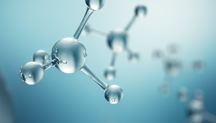 汇添富国证生物医药ETF,生物药ETF,汇添富国证生物医药交易型开放式指数证券投资基金,159839