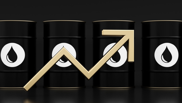 泉果基金调研中矿资源