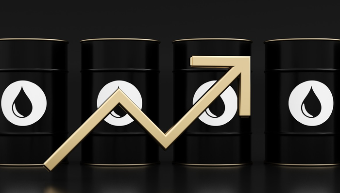 泉果基金调研中矿资源