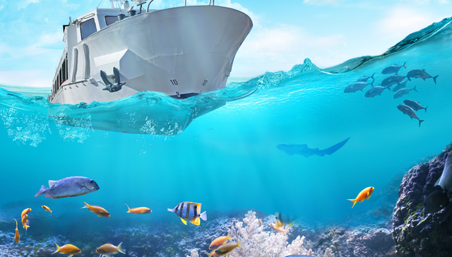 平安中证畜牧养殖ETF,养殖ETF,平安中证畜牧养殖交易型开放式指数证券投资基金,516760,51