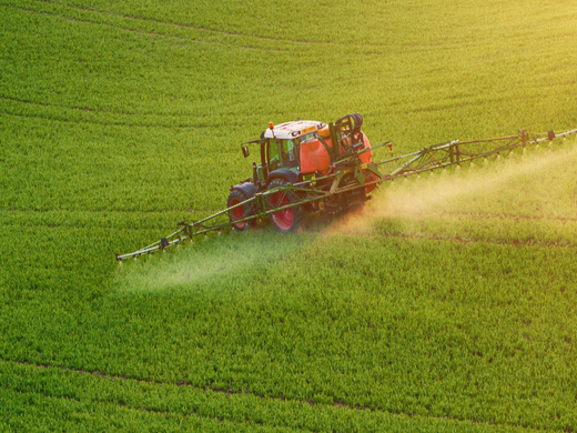 002431.SZ,棕榈股份,棕榈生态城镇发展股份有限公司,PALM,建筑装饰