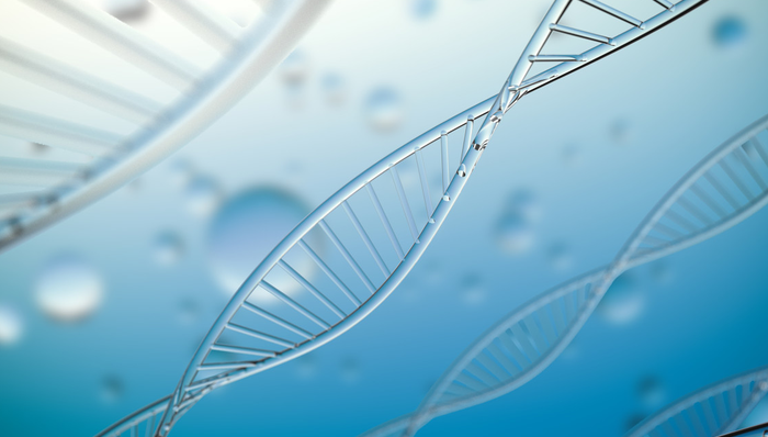 嘉实恒生医疗保健ETF(QDII),恒生医疗指数ETF,嘉实恒生医疗保健交易型开放式指数证券投资基金