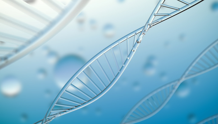 汇添富恒生生物科技ETF,恒生生物,汇添富恒生生物科技交易型开放式指数证券投资基金(QDII),51