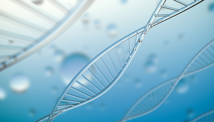 博时恒生医疗保健(QDII-ETF),恒生医疗,博时恒生医疗保健交易型开放式指数证券投资基金(QDI