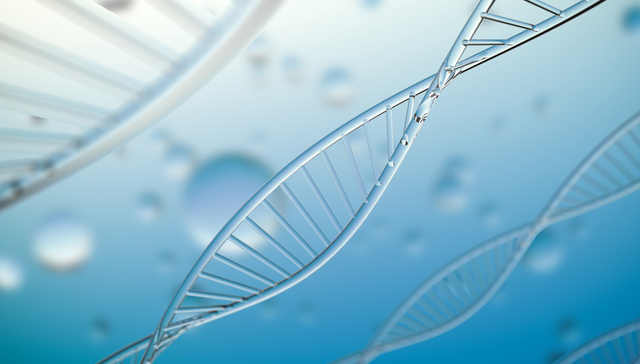 港股创新药ETF,银华国证港股通创新药交易型开放式指数证券投资基金,159567,159567.SZ