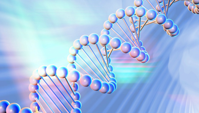 港股创新药ETF,银华国证港股通创新药交易型开放式指数证券投资基金,159567,159567.SZ