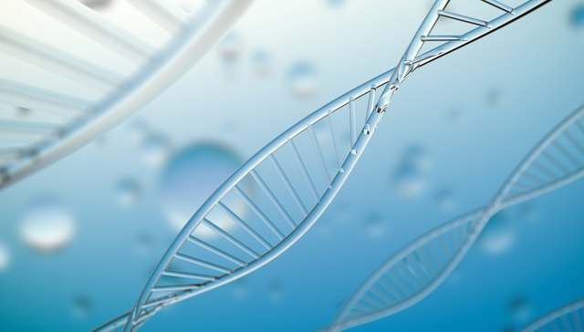 港股创新药ETF,银华国证港股通创新药交易型开放式指数证券投资基金,159567,159567.SZ