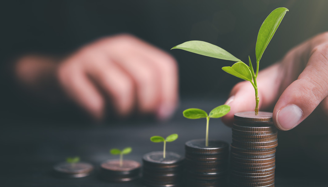 汇添富中证电池主题ETF,电池50ETF,汇添富中证电池主题交易型开放式指数证券投资基金,15979