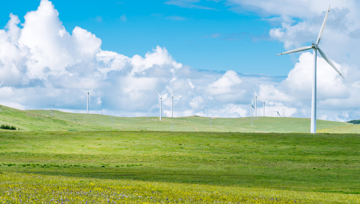 嘉实中证大农业ETF,农业ETF,嘉实中证大农业交易型开放式指数证券投资基金,516550,5165