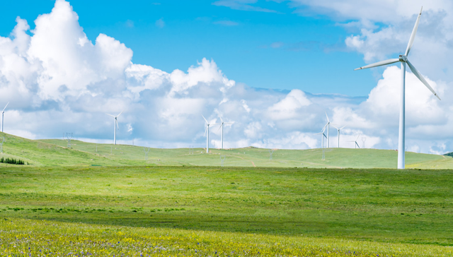 嘉实中证大农业ETF,农业ETF,嘉实中证大农业交易型开放式指数证券投资基金,516550,5165