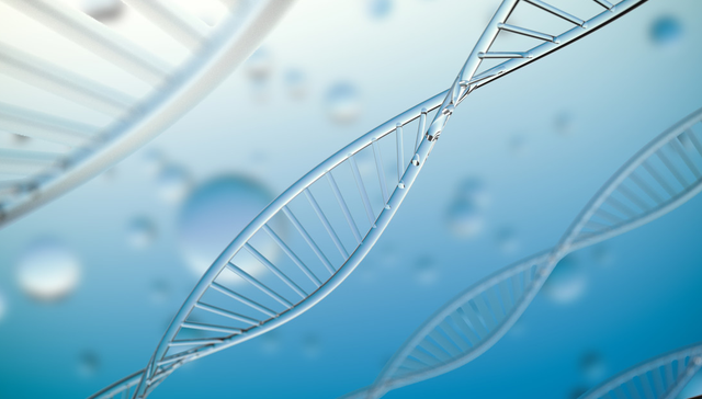 嘉实恒生医疗保健ETF(QDII),恒生医疗指数ETF,嘉实恒生医疗保健交易型开放式指数证券投资基金