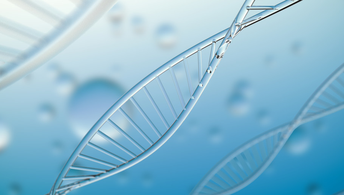 博时恒生医疗保健(QDII-ETF),恒生医疗,博时恒生医疗保健交易型开放式指数证券投资基金(QDI