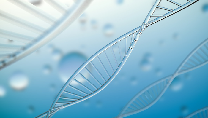 513290,汇添富纳斯达克生物科技ETF,纳指生物,汇添富纳斯达克生物科技交易型开放式指数证券投资