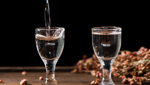 汇添富中证主要消费ETF,消费ETF,中证主要消费交易型开放式指数证券投资基金,159928,159