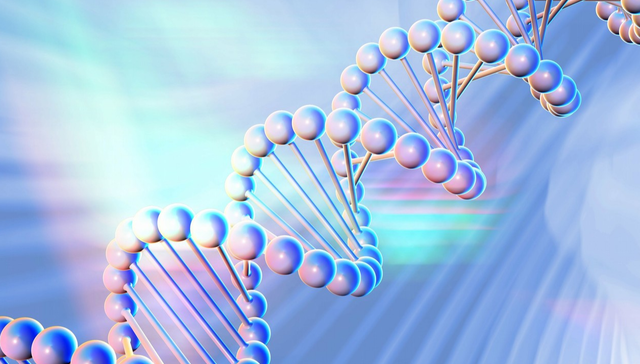 600315.SH,上海家化,上海家化联合股份有限公司,Shanghai,Jahwa,美容护理