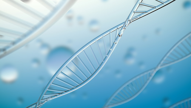 汇添富恒生生物科技ETF,恒生生物,汇添富恒生生物科技交易型开放式指数证券投资基金(QDII),51