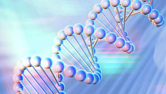博时恒生医疗保健(QDII-ETF),恒生医疗,博时恒生医疗保健交易型开放式指数证券投资基金(QDI