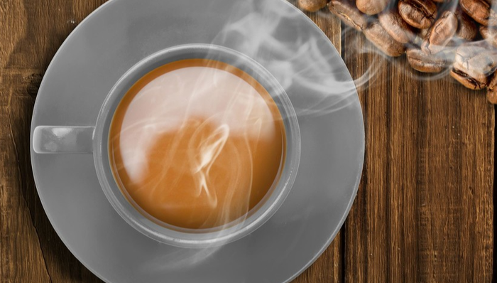 挪瓦咖啡亮相2025上海SFE展会，