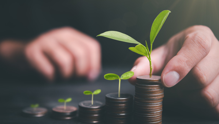 国检特等+参龄认证+基因鉴定 以真破局，小参尊构建品质金三角