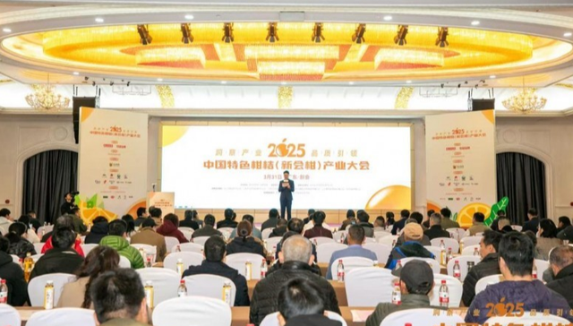 柑橘产业保花保果高质量发展，云大科技提供长效方案