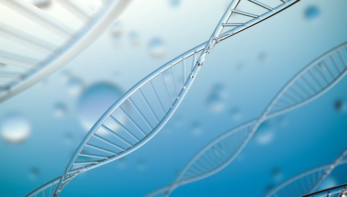 广发中证香港创新药(QDII-ETF),HK创新药,广发中证香港创新药交易型开放式指数证券投资基金(