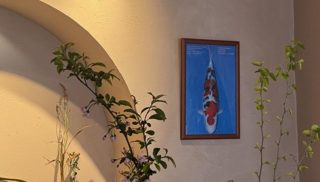 地摊明珠跃龙门：微拍堂记录女性创业者二十载渔场织“锦”路