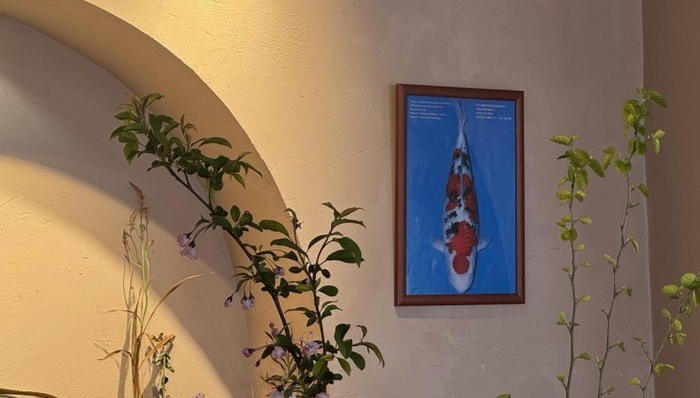 地摊明珠跃龙门：微拍堂记录女性创业者二十载渔场织“锦”路