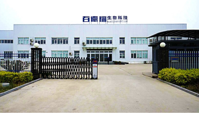 百德福海参短肽：独特品质定义海洋健康新高度