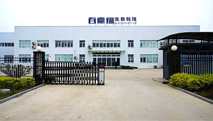 百德福海参短肽：独特品质定义海洋健康新高度