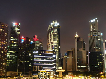 688249.SH,晶合集成,合肥晶合集成电路股份有限公司,Nexchip,电子