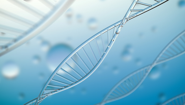 汇添富恒生生物科技ETF,恒生生物,医药,汇添富恒生生物科技交易型开放式指数证券投资基金(QDII)