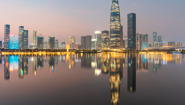 600130.SH,波导股份,宁波波导股份有限公司,BIRD,电子