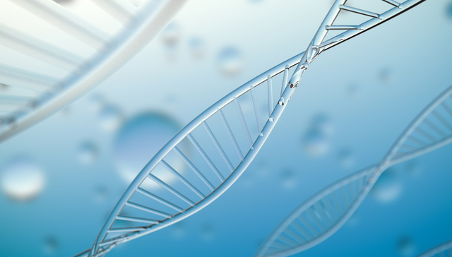 汇添富恒生生物科技ETF,恒生生物,医药,汇添富恒生生物科技交易型开放式指数证券投资基金(QDII)