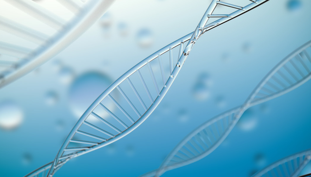 平安中证港股医药ETF,港股医药ETF,医药,平安中证港股通医药卫生综合交易型开放式指数证券投资基金