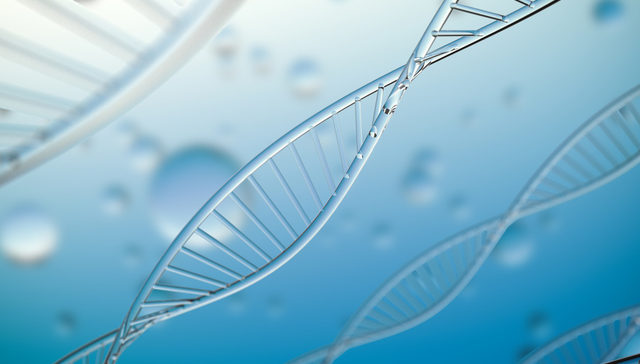 南方恒生生物科技ETF(QDII),恒生生物科技ETF,医药,南方恒生生物科技交易型开放式指数证券投