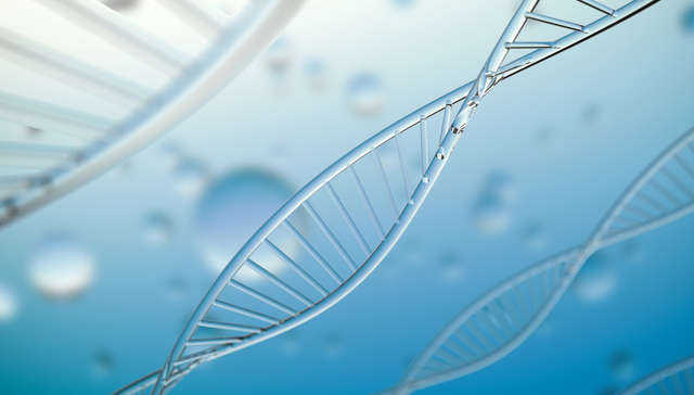 688505.SH,复旦张江,上海复旦张江生物医药股份有限公司,Fudan-Zhangjiang,医