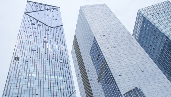 001201.SZ,东瑞股份,东瑞食品集团股份有限公司,DONGRUI,GROUP,农林牧渔