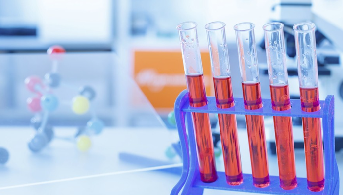 百力司康IPO,百力司康,IPO,港股IPO