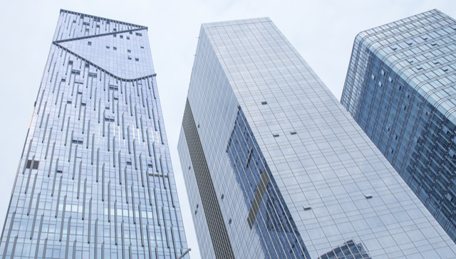 600470.SH,六国化工,安徽六国化工股份有限公司,Liuguo,Chemical,基础化工