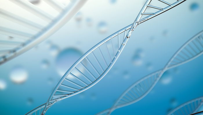 嘉实标普生物科技精选行业ETF(QDII),标普生物科技ETF,嘉实标普生物科技精选行业交易型开放式