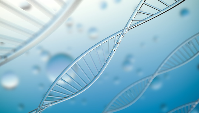 平安中证港股医药ETF,港股医药ETF,医药,平安中证港股通医药卫生综合交易型开放式指数证券投资基金