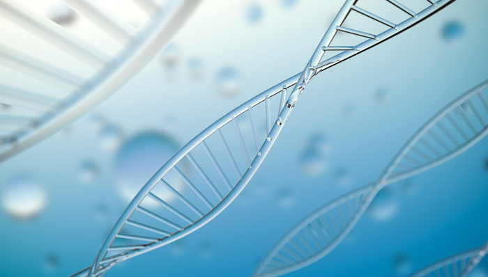 平安中证港股医药ETF,港股医药ETF,医药,平安中证港股通医药卫生综合交易型开放式指数证券投资基金