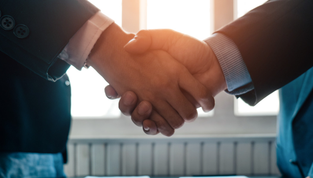 002431.SZ,棕榈股份,棕榈生态城镇发展股份有限公司,PALM,建筑装饰