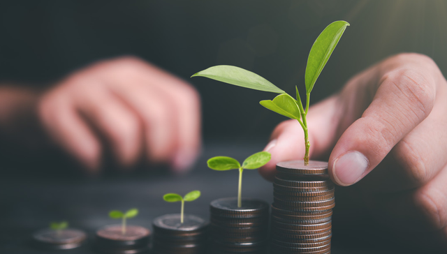 华夏国证自由现金流ETF,自由现金流ETF,家电,华夏国证自由现金流交易型开放式指数证券投资基金,1