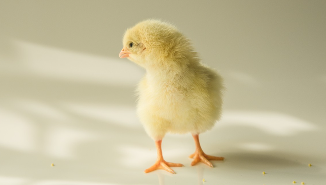 闷声发大财？！公募基金竟悄悄重仓这一小众赛道