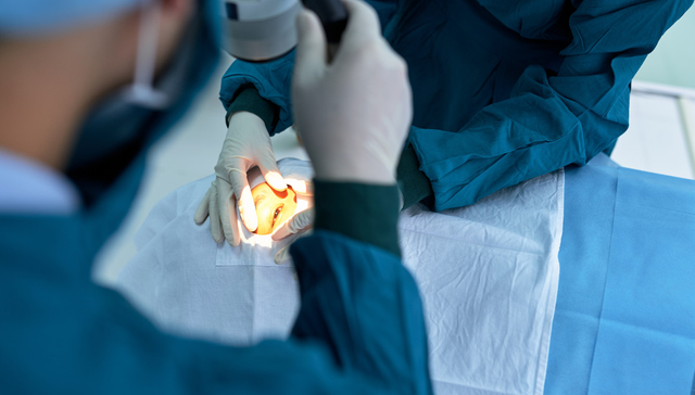 博时恒生医疗保健(QDII-ETF),恒生医疗,医药,博时恒生医疗保健交易型开放式指数证券投资基金(