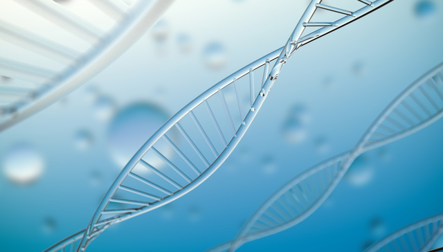 汇添富纳斯达克生物科技ETF,纳指生物,汇添富纳斯达克生物科技交易型开放式指数证券投资基金(QDII